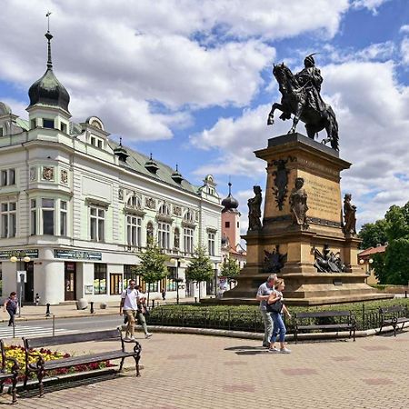 Apartment Spa And Fontain Poděbrady エクステリア 写真