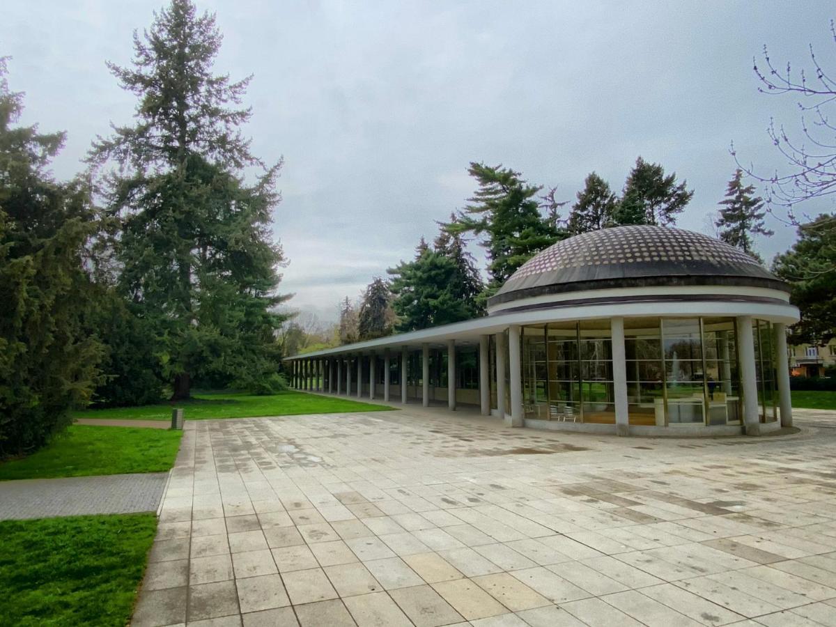 Apartment Spa And Fontain Poděbrady エクステリア 写真